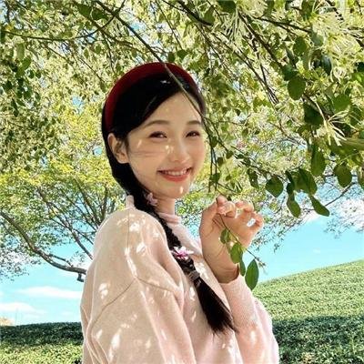 沙漠驼影